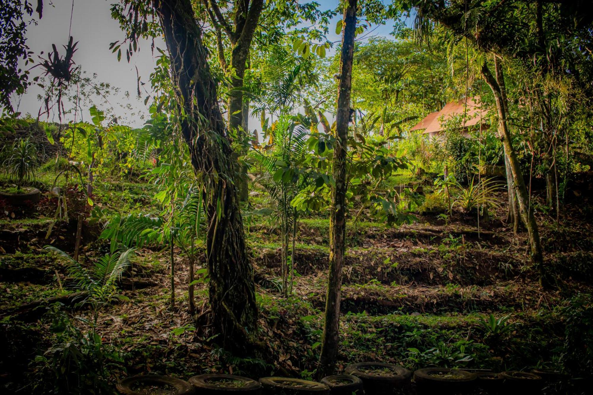Villa Campo'S Venecia Bagian luar foto